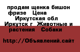 продам щенка бишон фризе › Цена ­ 25 000 - Иркутская обл., Иркутск г. Животные и растения » Собаки   